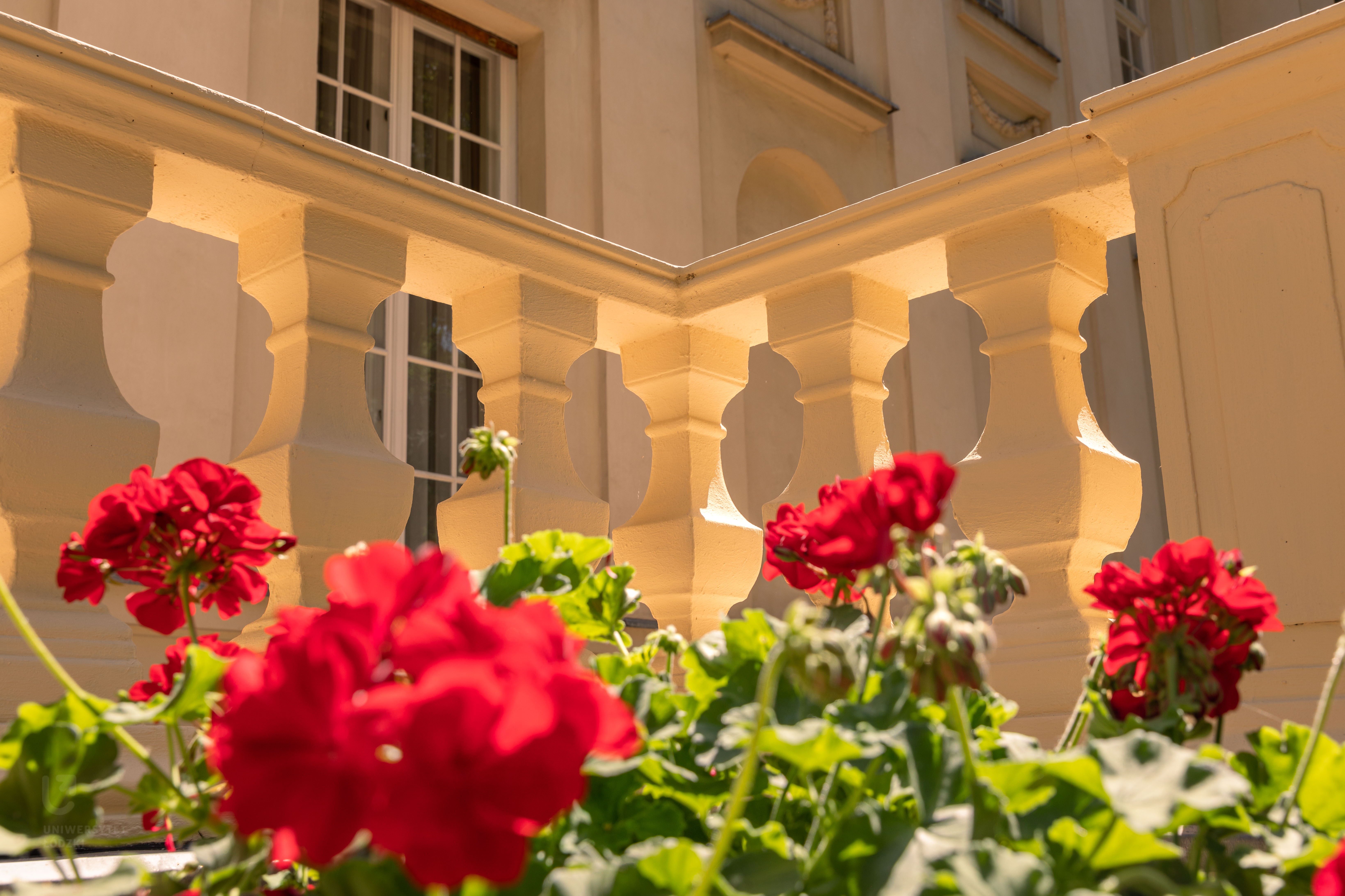 Alfred Biedermann's Palace
