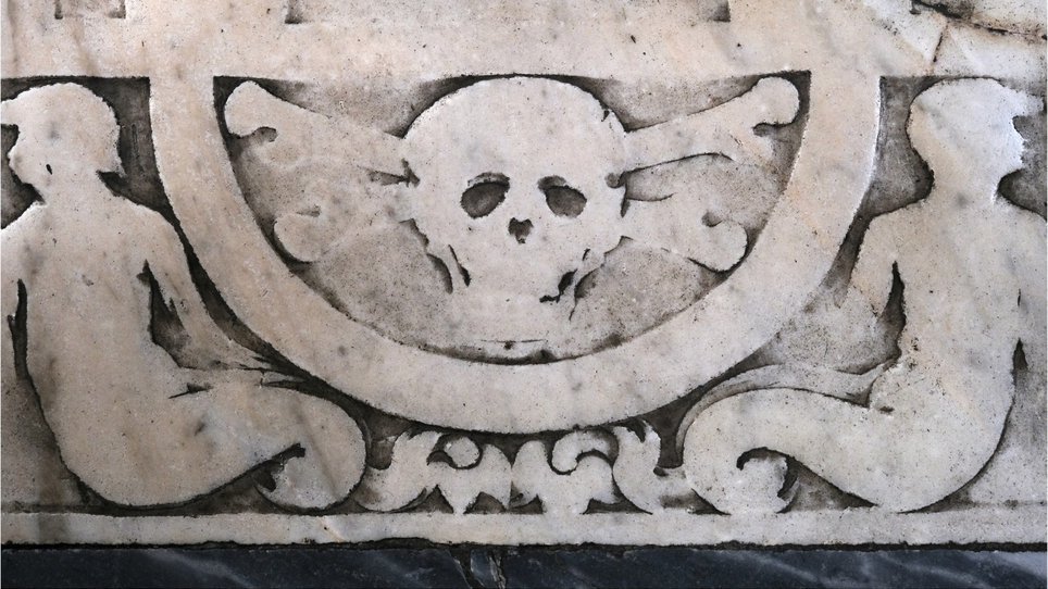 Czaszka, fot. Tomasz Ferenc