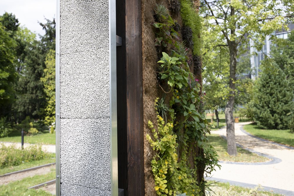 Zielona ściana porośnięta roślinami, stojąca w ogrodzie