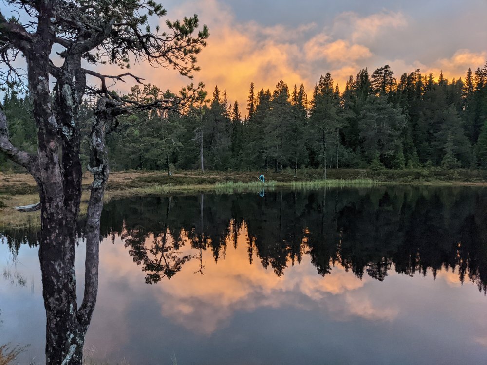 Staw leśny o zachodzie słońca
