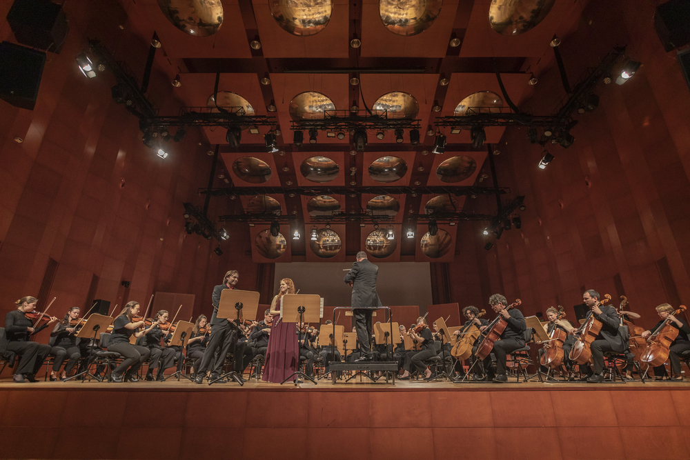 orkiestra podczas występu orkiestra podczas występu