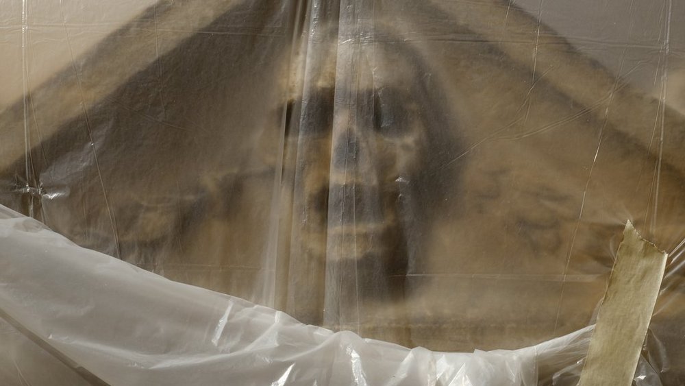 wystawa "Deadline" Tomasza Ferenca - zdjęcie czaszki 