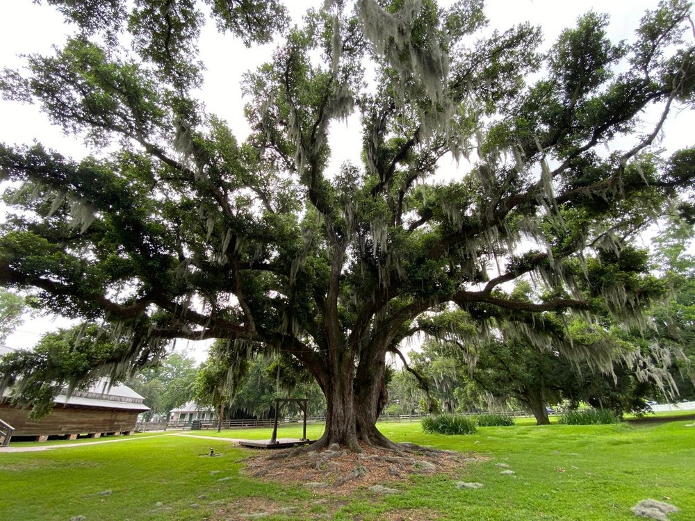 Delegacja UŁ na targach NAFSA w Nowym Orleanie