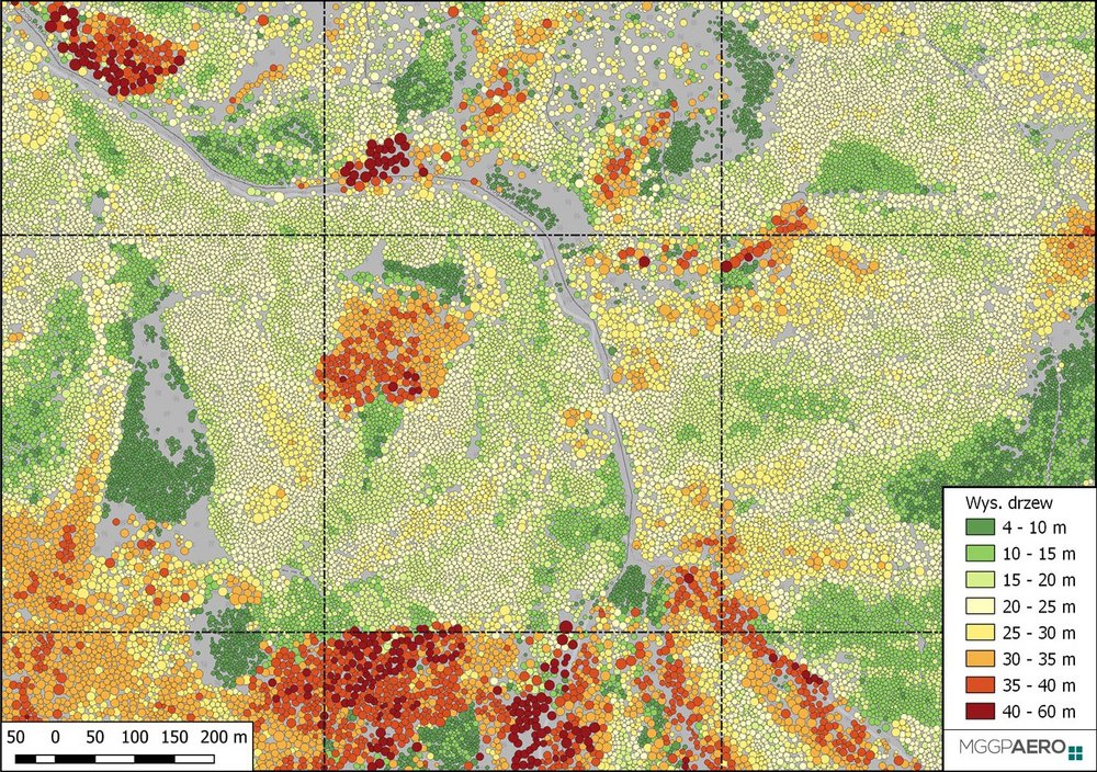 Fragment Mapy Koron Drzew dla Polski 