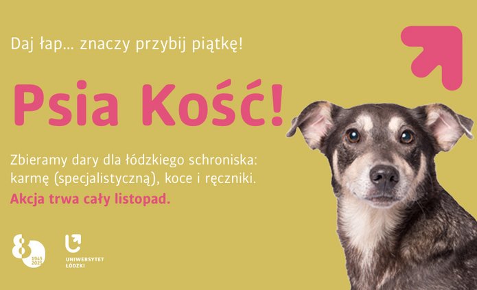 A black and white dog on a yellow background with the words: "Psia Kość!" We're collecting donations for the Lodz Animal Shelter: specialised pet food, blankets and towels. The campaign runs throughout November.
