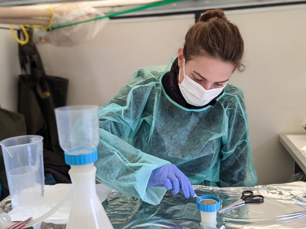 Biolog w laboratorium przy pracy 