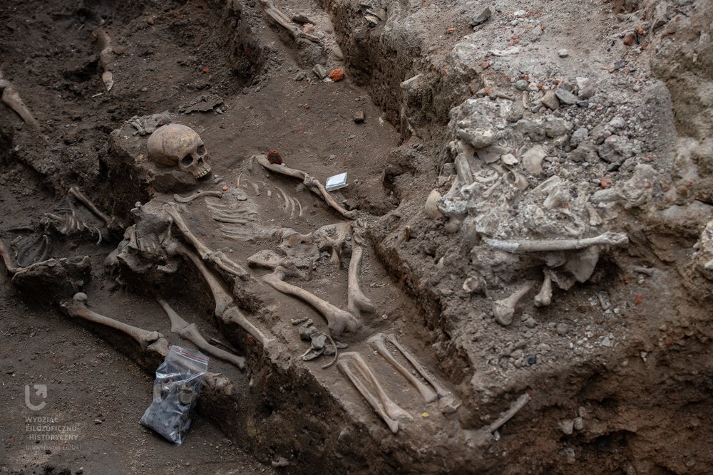 wykopaliska, szkielet