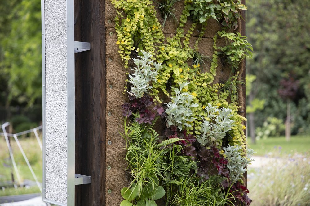 Zielona ściana porośnięta roślinami, stojąca w ogrodzie