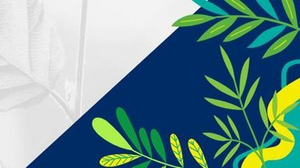 Grafika przedstawiająca liście roślin na niebieskim tle przełamane białym pasmem 