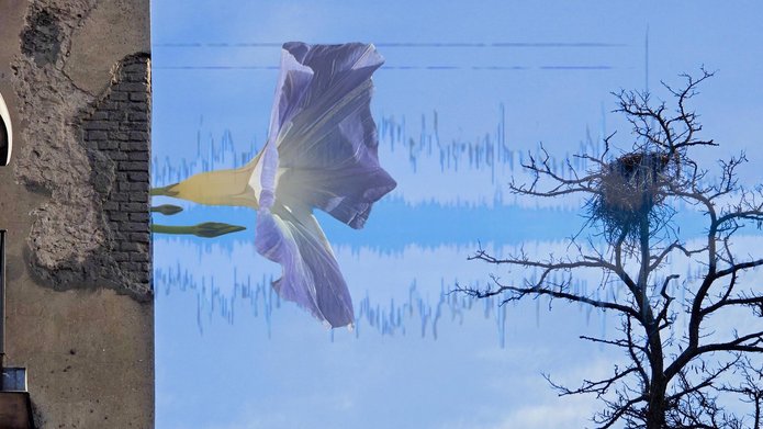 Zdjęcie przedstawia fragment ściany budynku, znajduje się on z lewej strony. Z budynku wyrasta kwiat, którego wielkość jest przeskalowana w stosunku do budynku. W tle błękitne niebo. Z prawej strony widać drzewo bez liści z jednym gniazdem na gałęziach.