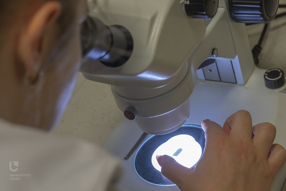 osoba pracująca przy mikroskopie