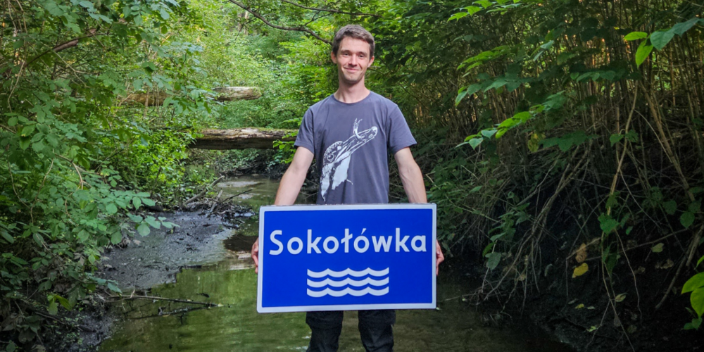 Projekt Jarosława Brodeckiego