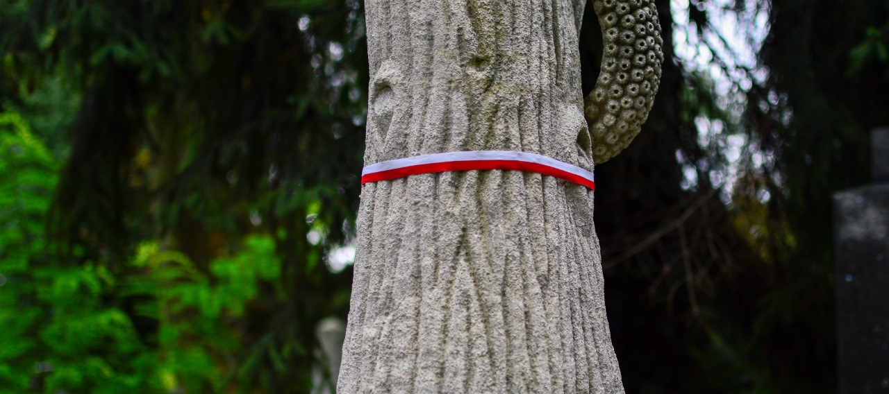 Drzewo przewiązane biało-czerwoną wstążką. Jedno miejsc upamiętnienia zbrojnego czynu Żołnierzy Wyklętych