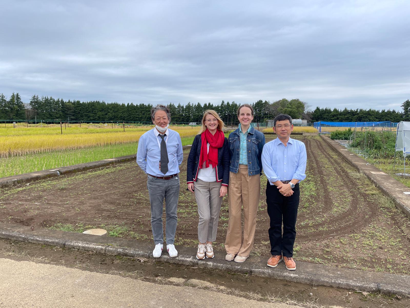 badacze z Polski i Japonii przy polu